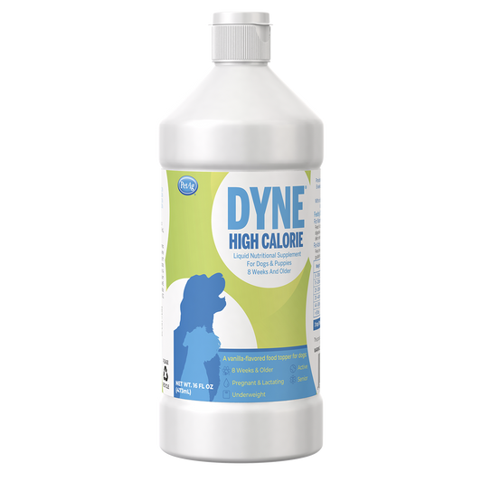 Dyne for Dogs