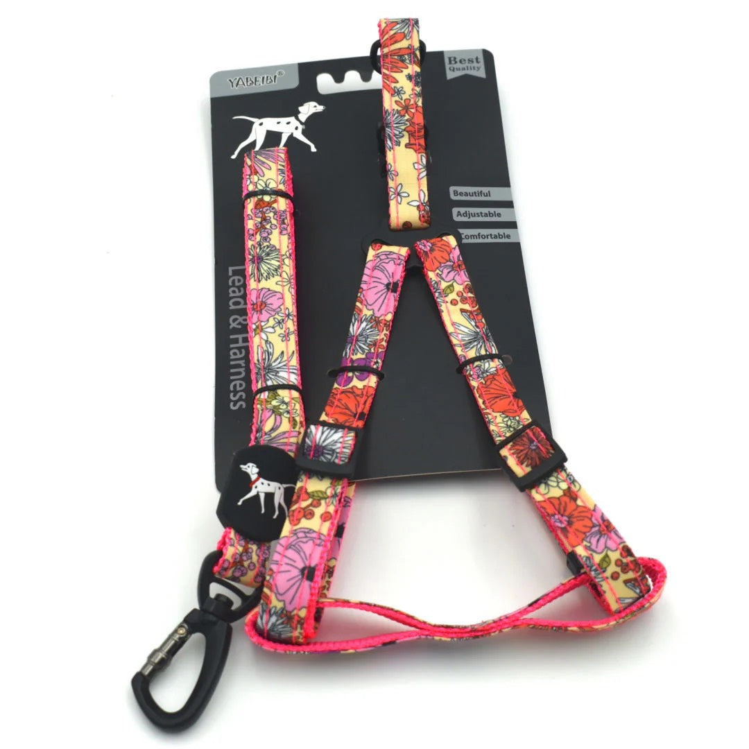 Dog Harness and Leash Set YABEIBI