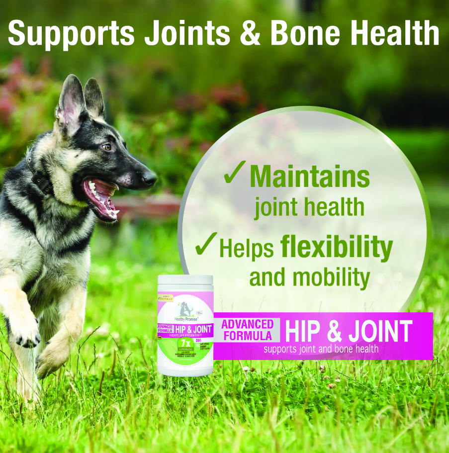 Advanced Formula Hip & Joint Supplements For Dogs Healthy Promise™