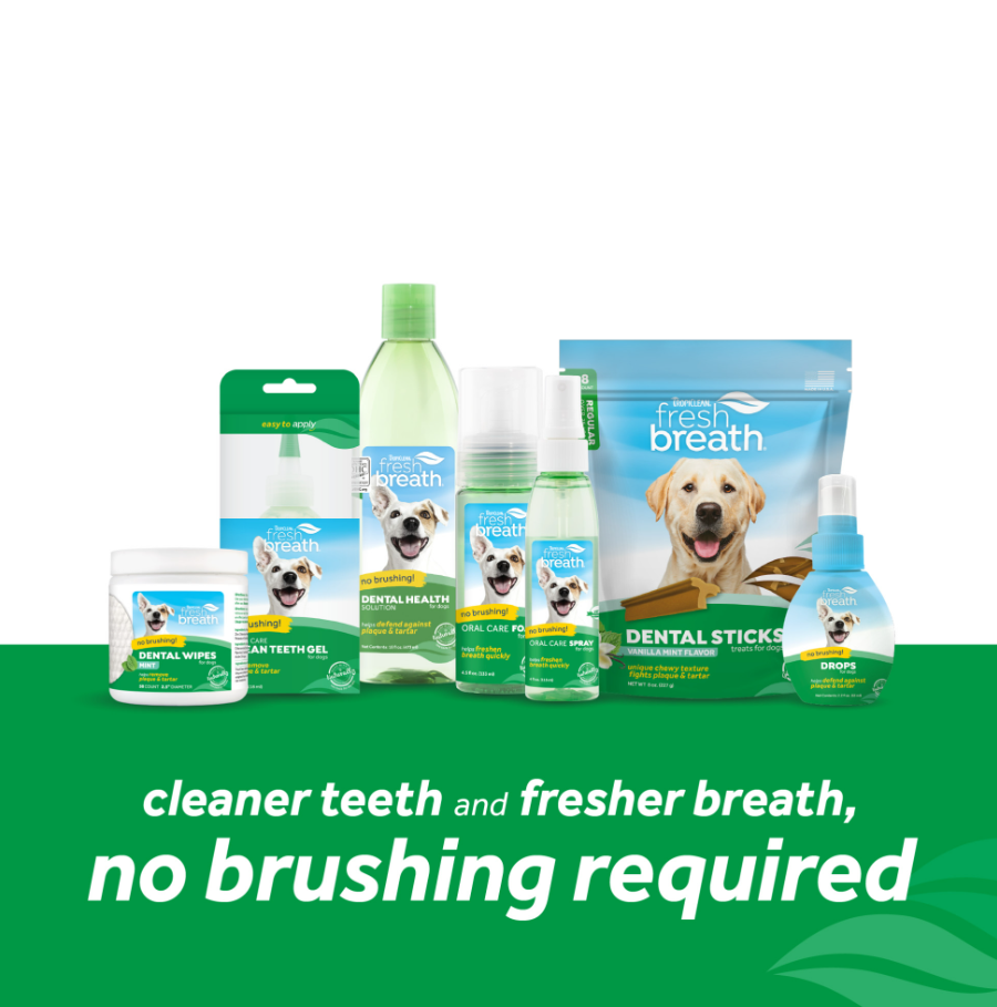 Dental Trial Kit for Dogs