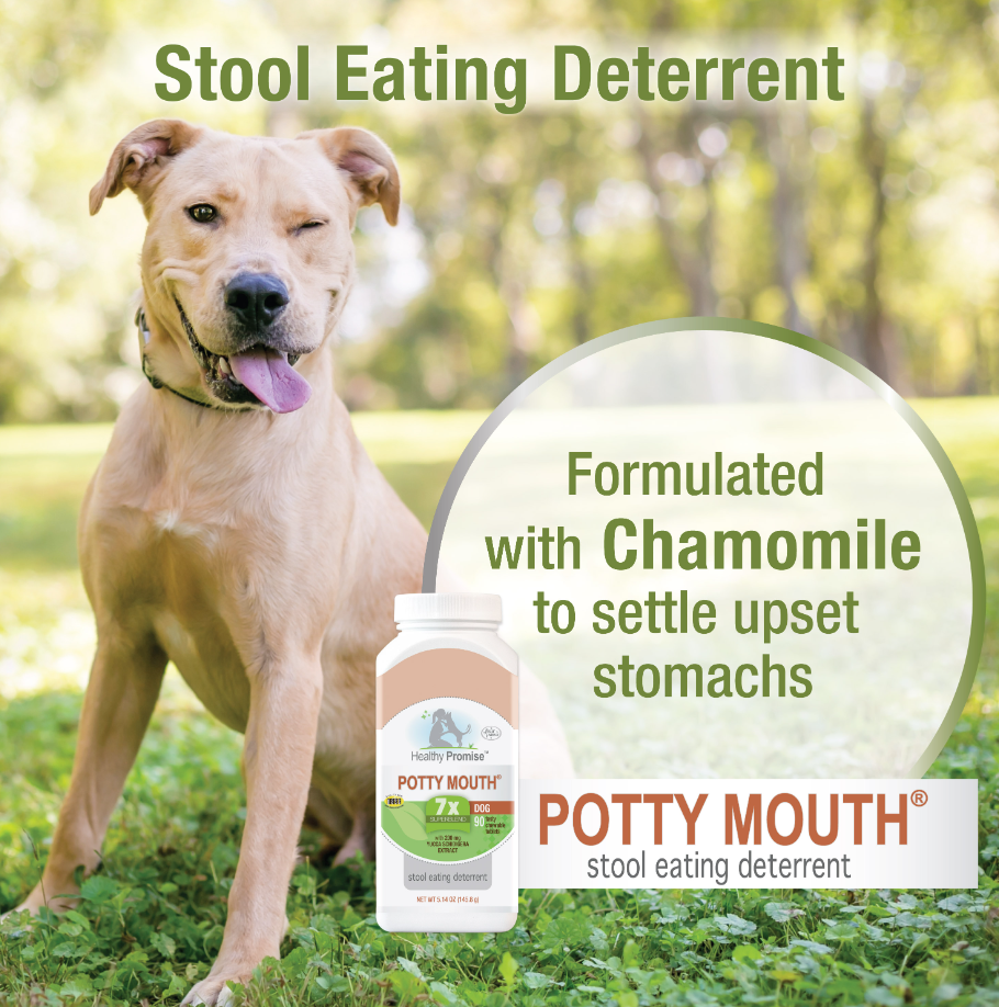 Healthy Promise™ Potty Mouth Coprophagia Supplements For Dogs