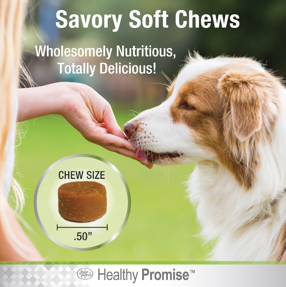 Healthy Promise® Pre & Probiotics For Dogs