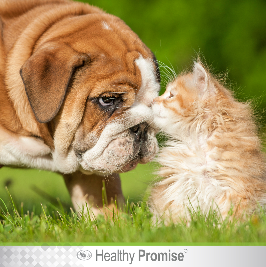 Healthy Promise™ Cat & Dog Eye Wipes