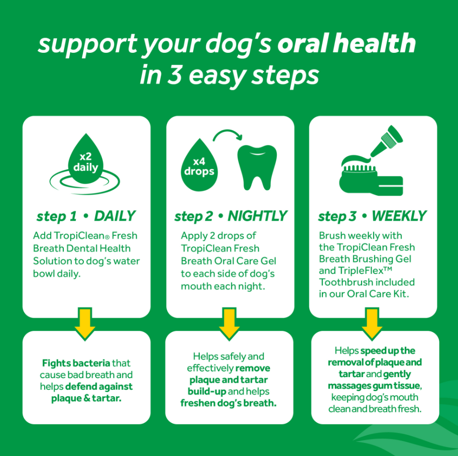 Oral Care Gel for Dogs