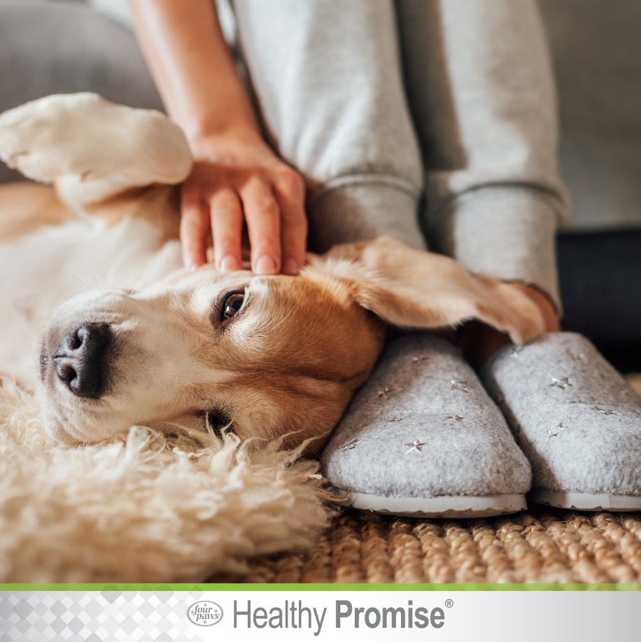 Healthy Promise™ Pet Ear Wipes