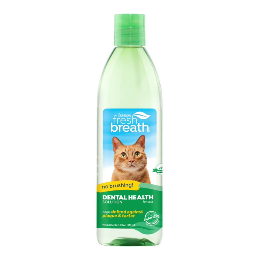 Dental Health Solution for Cats