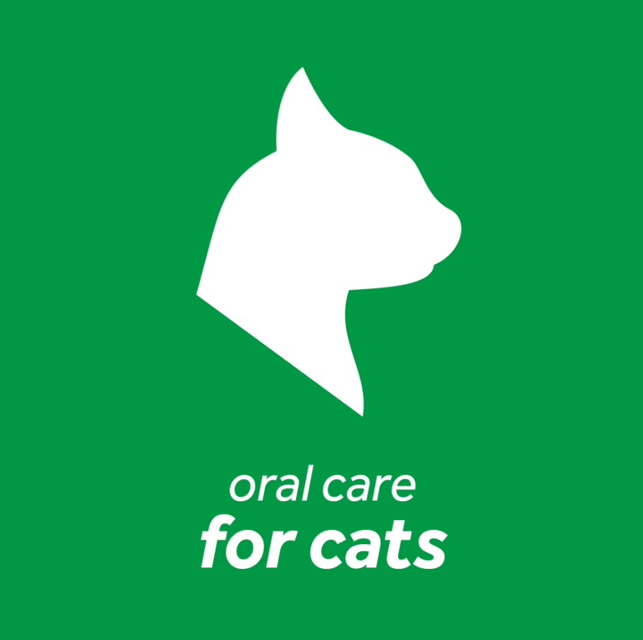 Dental Health Solution for Cats