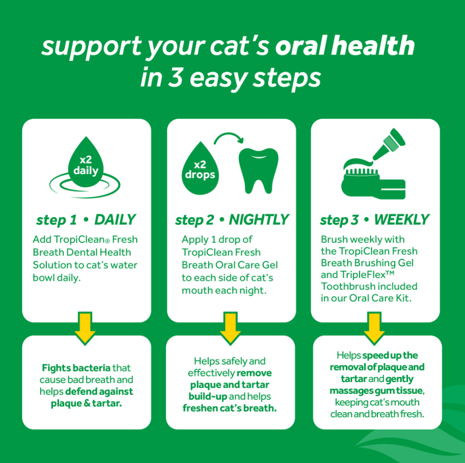 Dental Health Solution for Cats