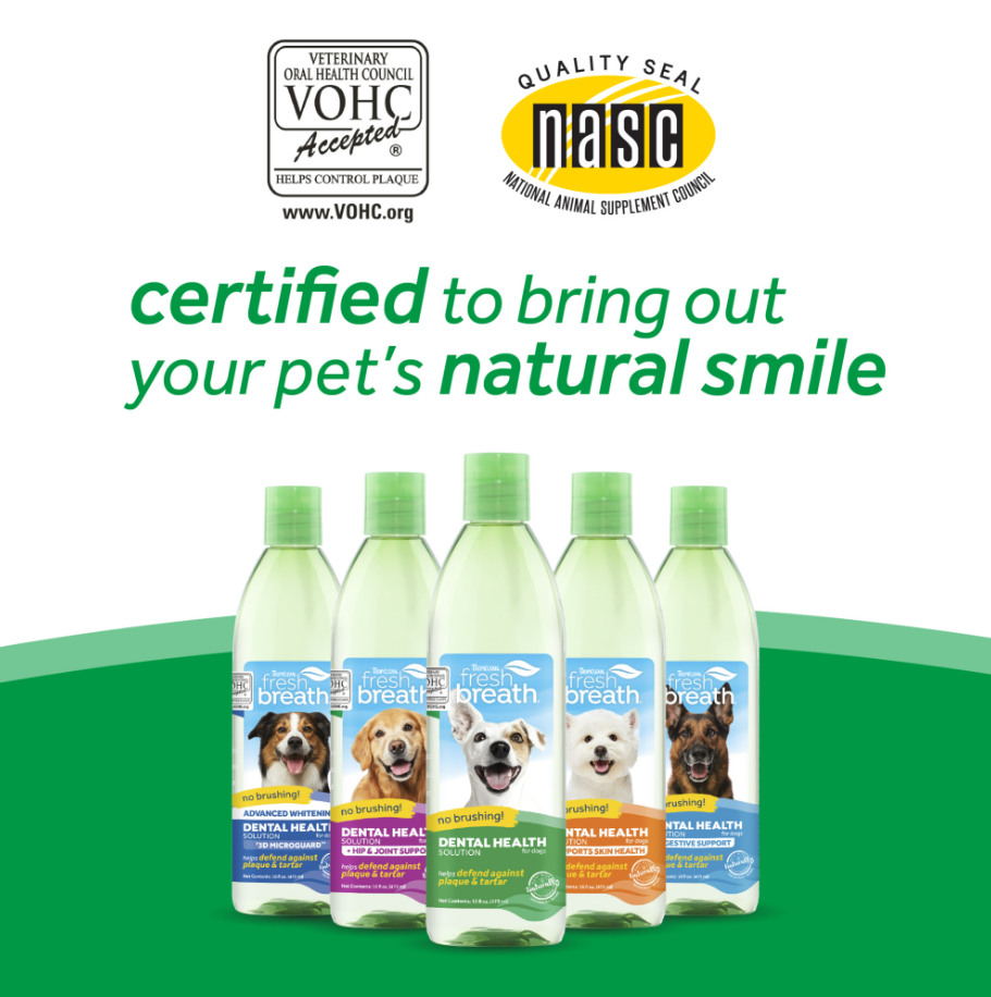 Dental Health Solution for Dogs