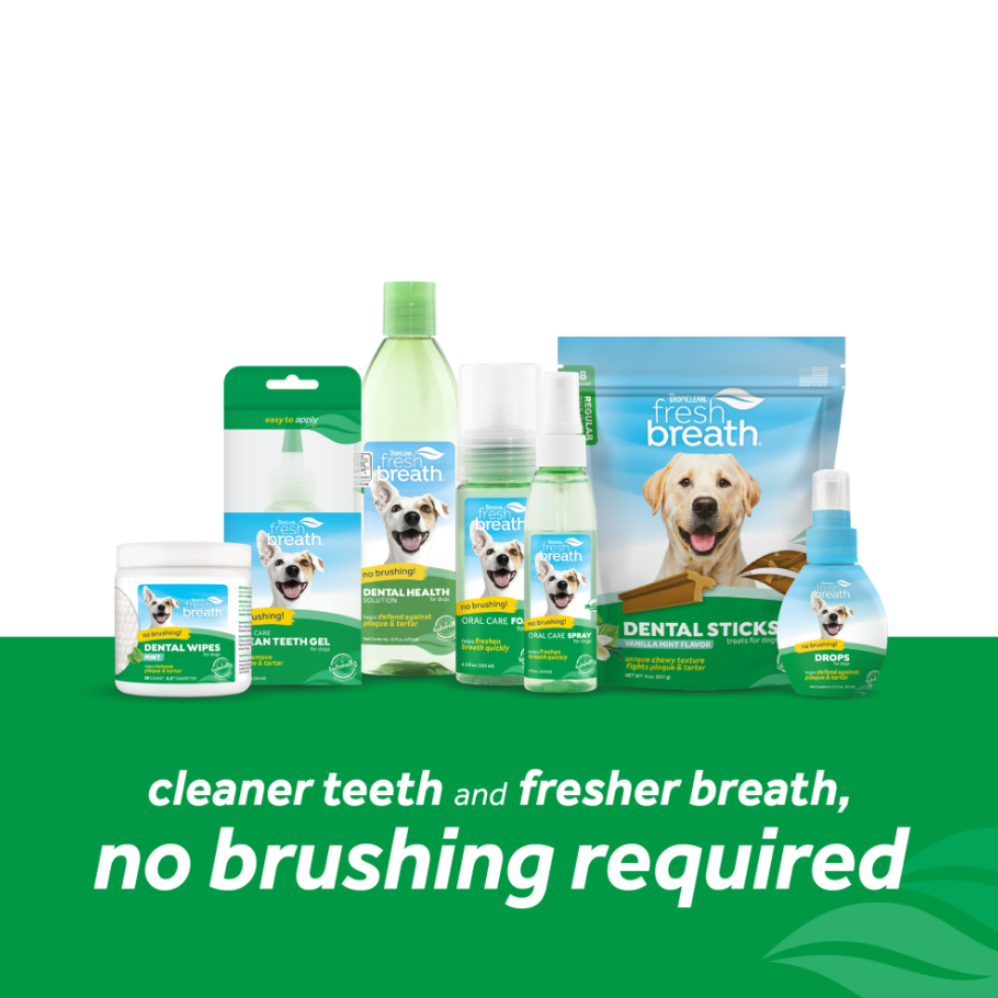 Dental Health Solution for Dogs