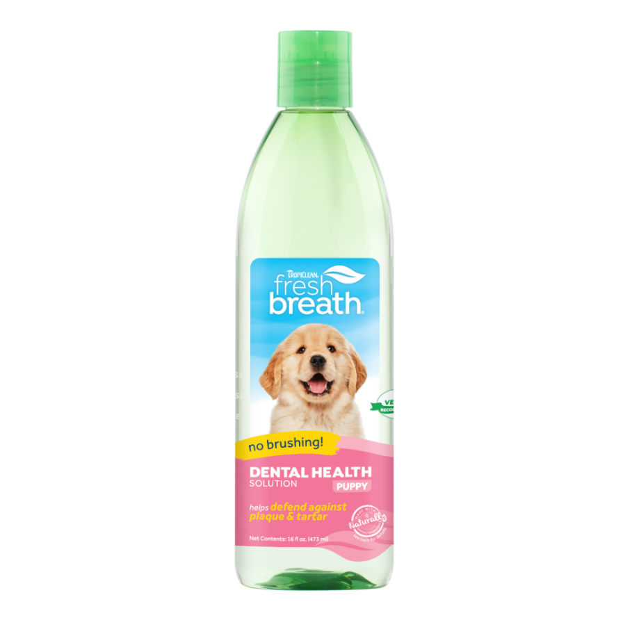 Dental Health Solution for Puppies