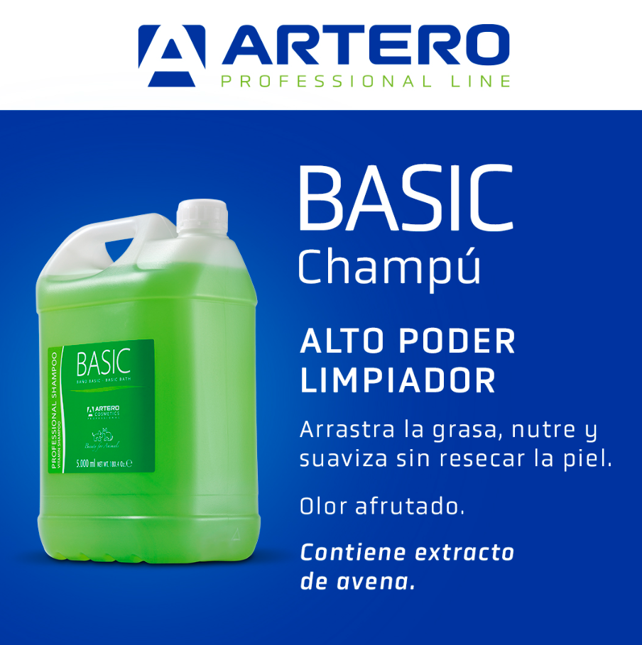 Artero Champú Basic 5L