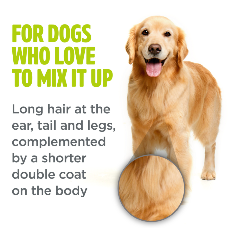 Combination Coat Shampoo for Dogs