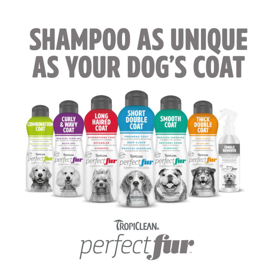 Combination Coat Shampoo for Dogs