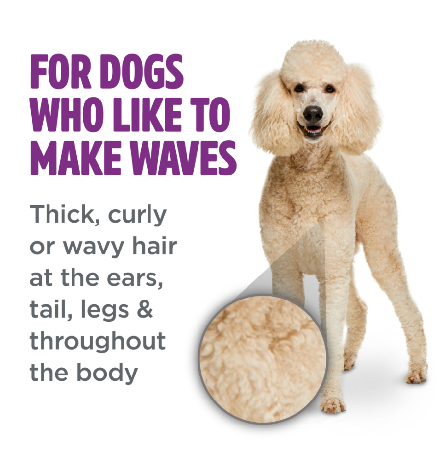 Curly & Wavy Coat Shampoo for Dogs