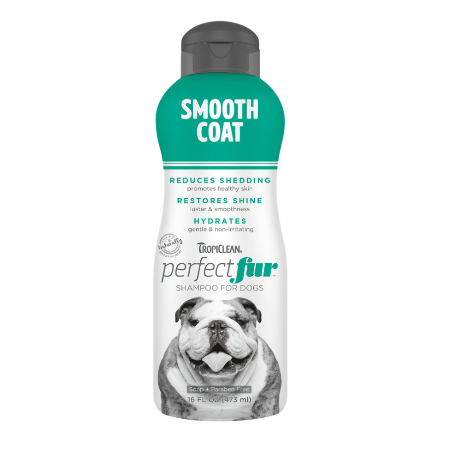 Smooth Coat Shampoo for Dogs