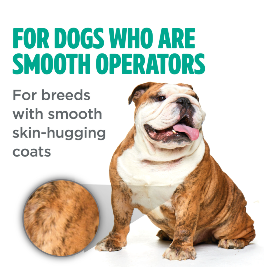 Smooth Coat Shampoo for Dogs