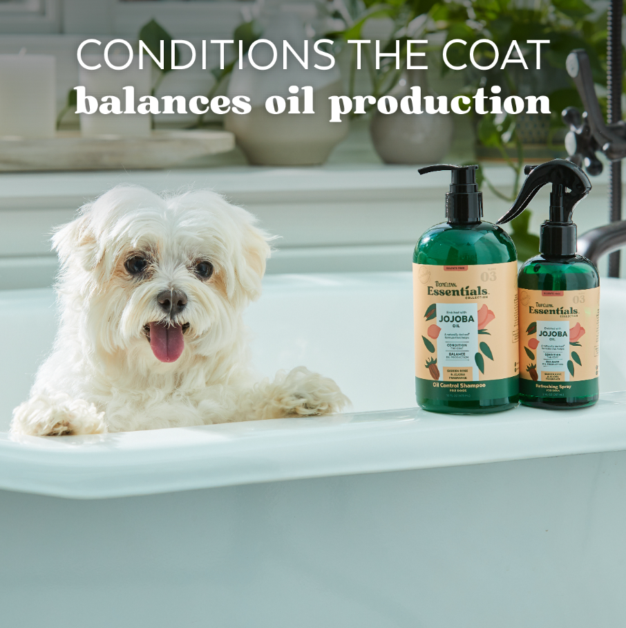 Jojoba Oil Control Shampoo for Dogs