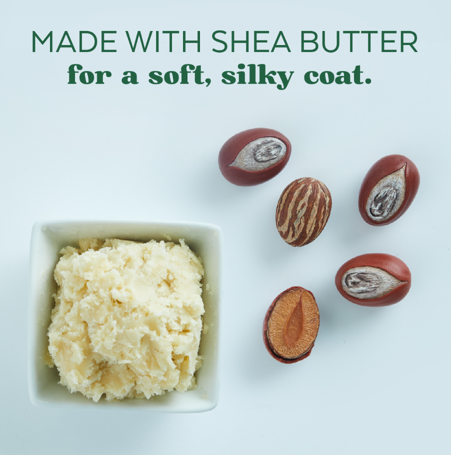 Shea Butter Soothing Shampoo for Dogs, Puppies & Cats