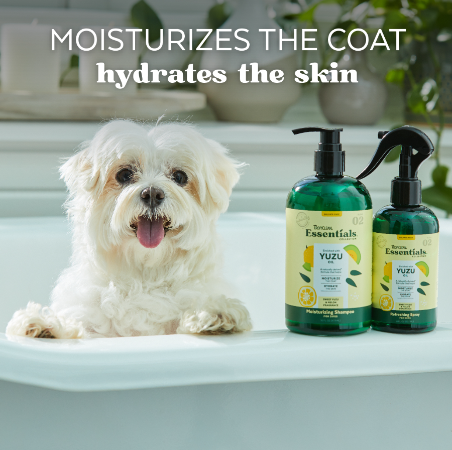 Yuzu Oil Moisturizing Shampoo for Dogs