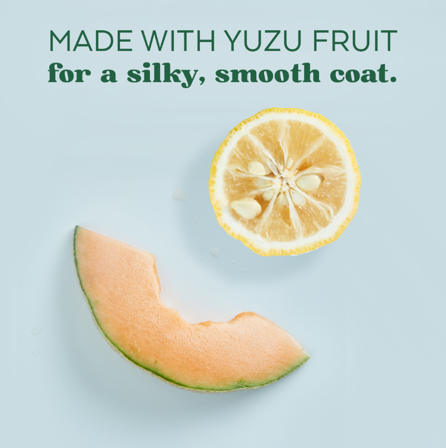 Yuzu Oil Moisturizing Shampoo for Dogs