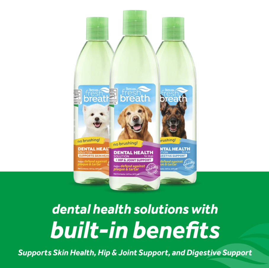 Dental Health Solution Plus Hip & Joint for Dogs