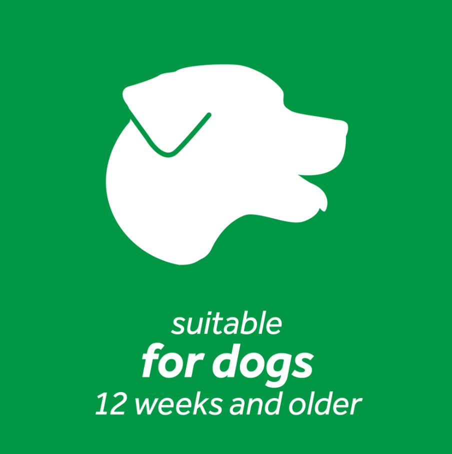 Dental Health Solution Plus Supports Skin Health for Dogs