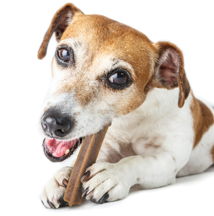 Dental Sticks for Large Dogs