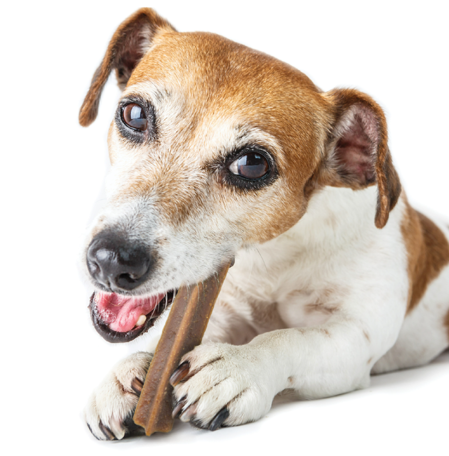 Dental Sticks for Small Dogs