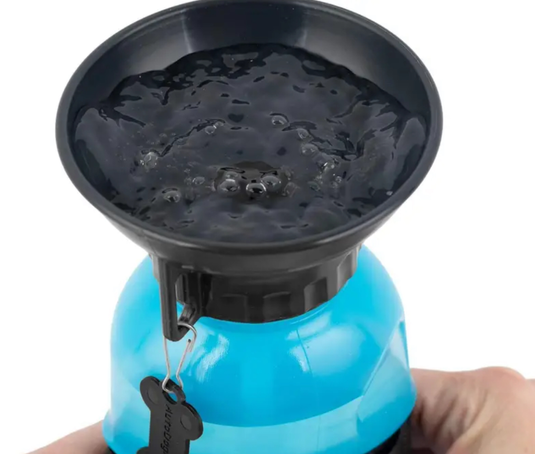 Dog Bottle Water