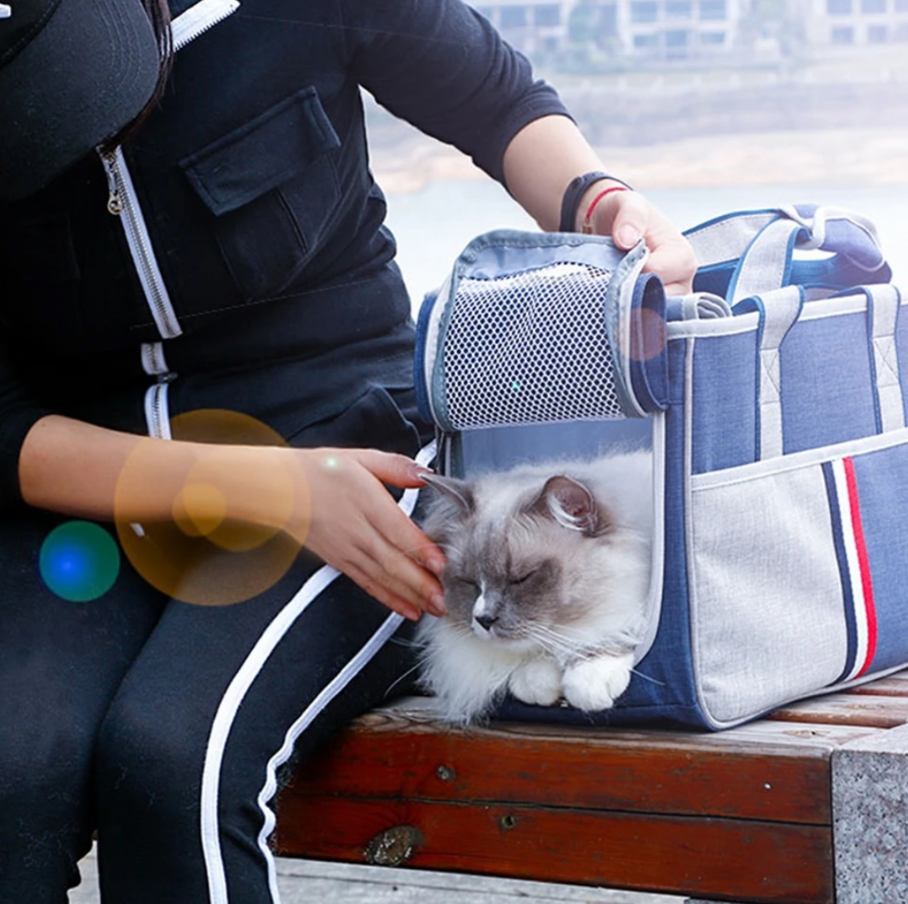 Pet Travel Bag (Dogs and Cats)