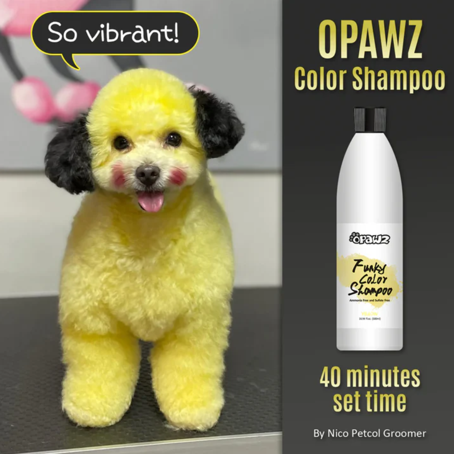 OPAWZ FUNKY COLOR SHAMPOO