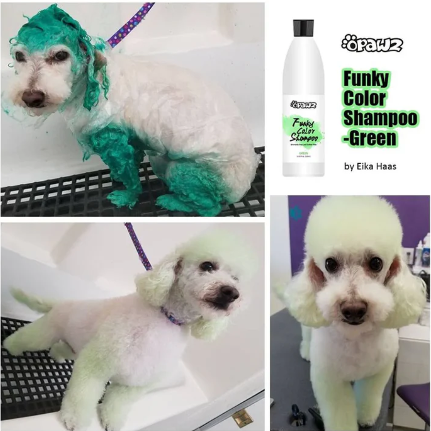 OPAWZ FUNKY COLOR SHAMPOO