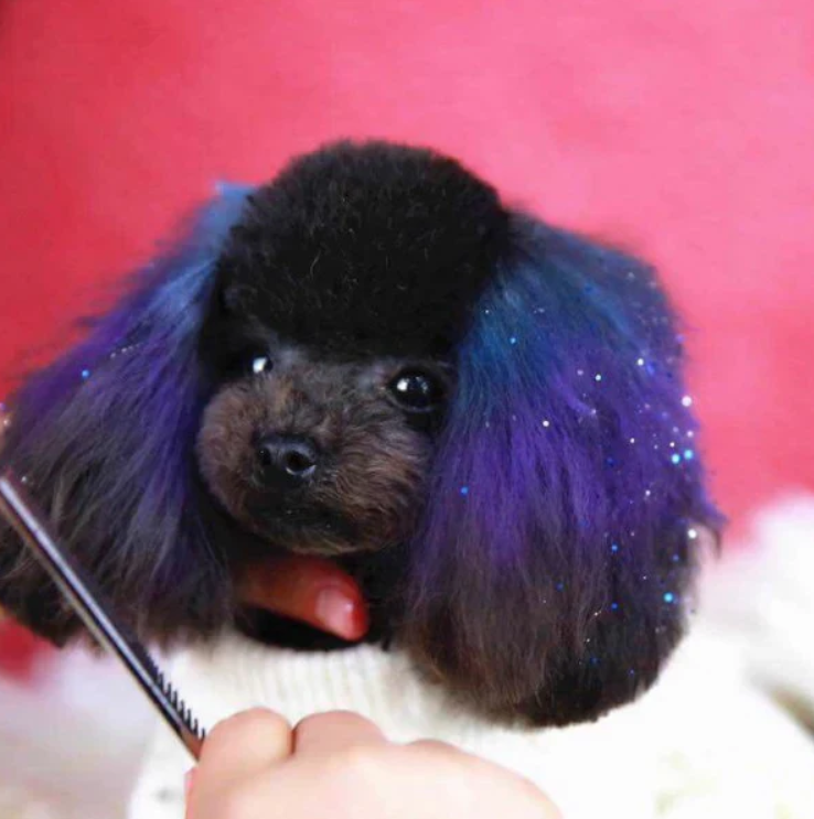 OPAWZ PET HAIR CHALK 4g