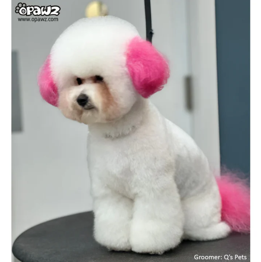 OPAWZ PET HAIR DYE PERMANENT