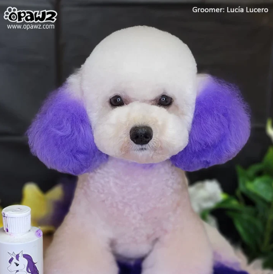 OPAWZ PET HAIR DYE PERMANENT