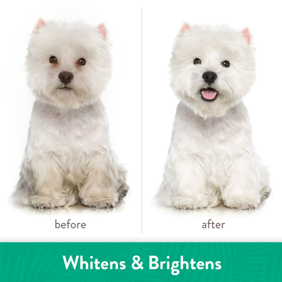 Awapuhi & Coconut Whitening Shampoo for Pets