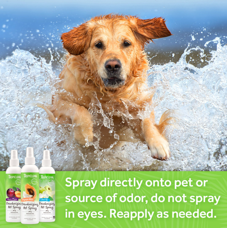 Baby Powder Deodorizing Pet Spray