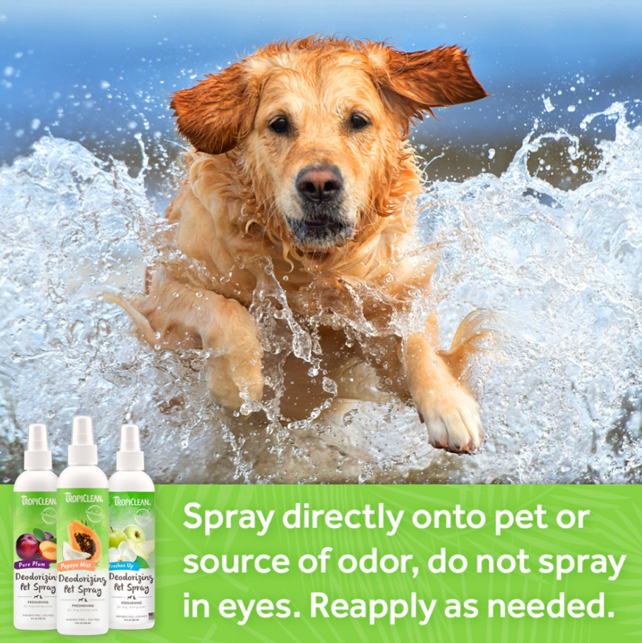 Lime & Coconut Deodorizing Pet Spray