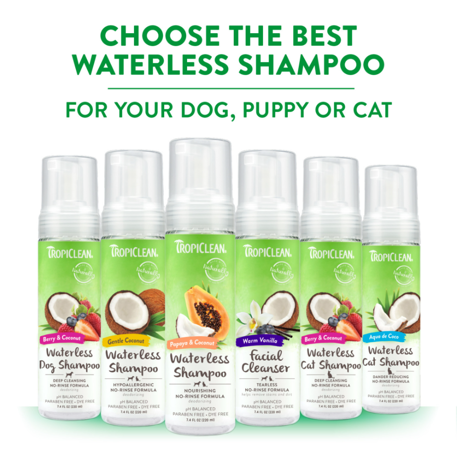 Aqua de Coco Dander Reducing Waterless Shampoo for Cats