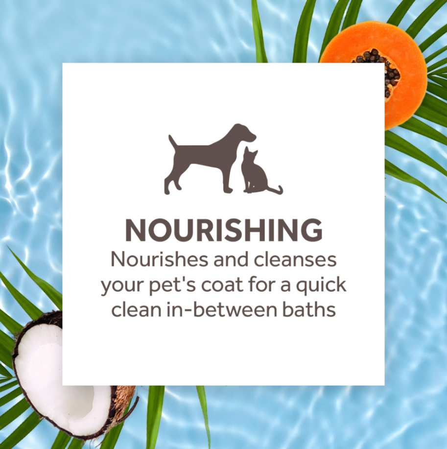 Papaya & Coconut Waterless Shampoo for Pets