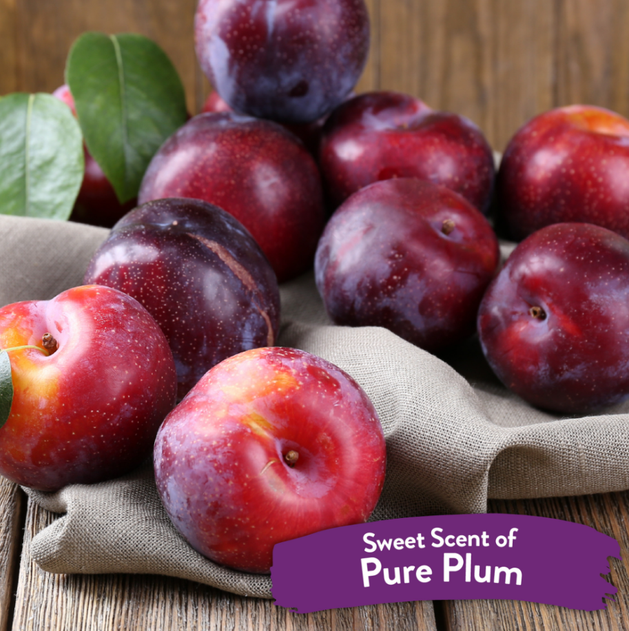 Pure Plum Deodorizing Pet Spray