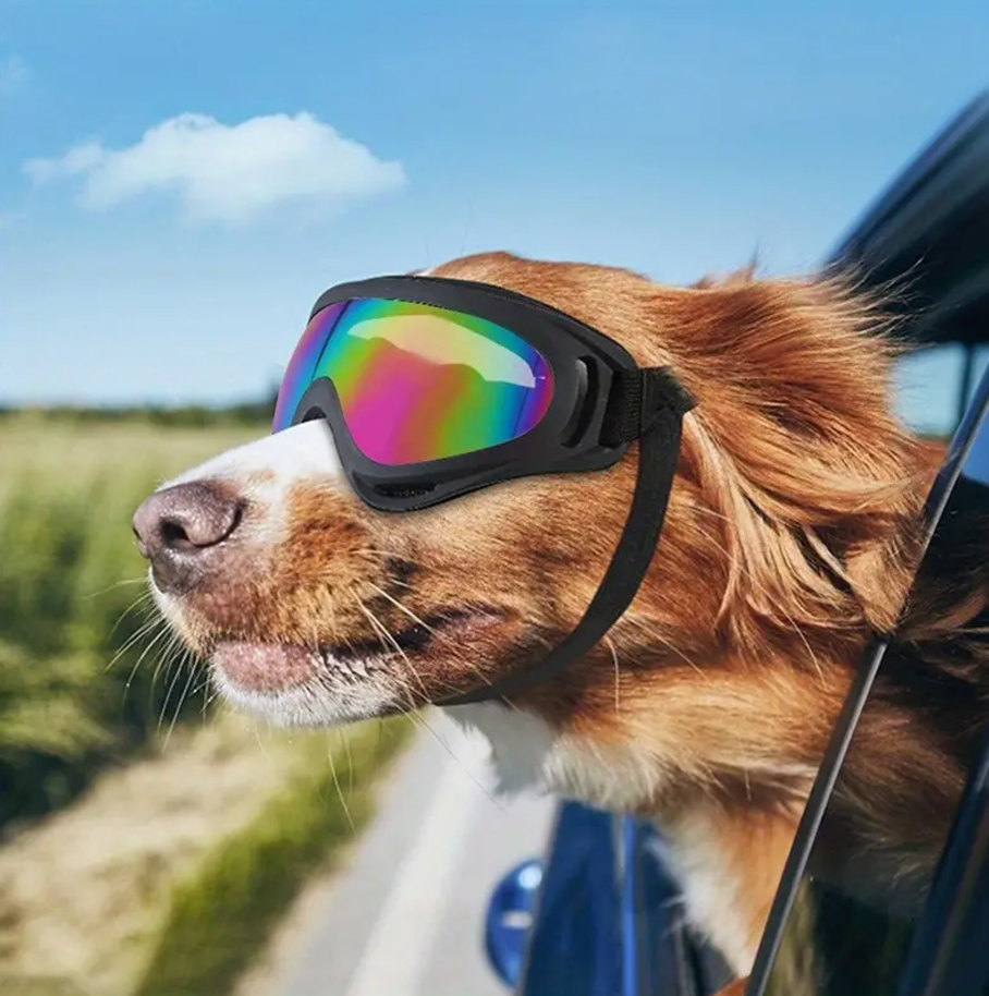 Gafas para Perro (Protectoras)