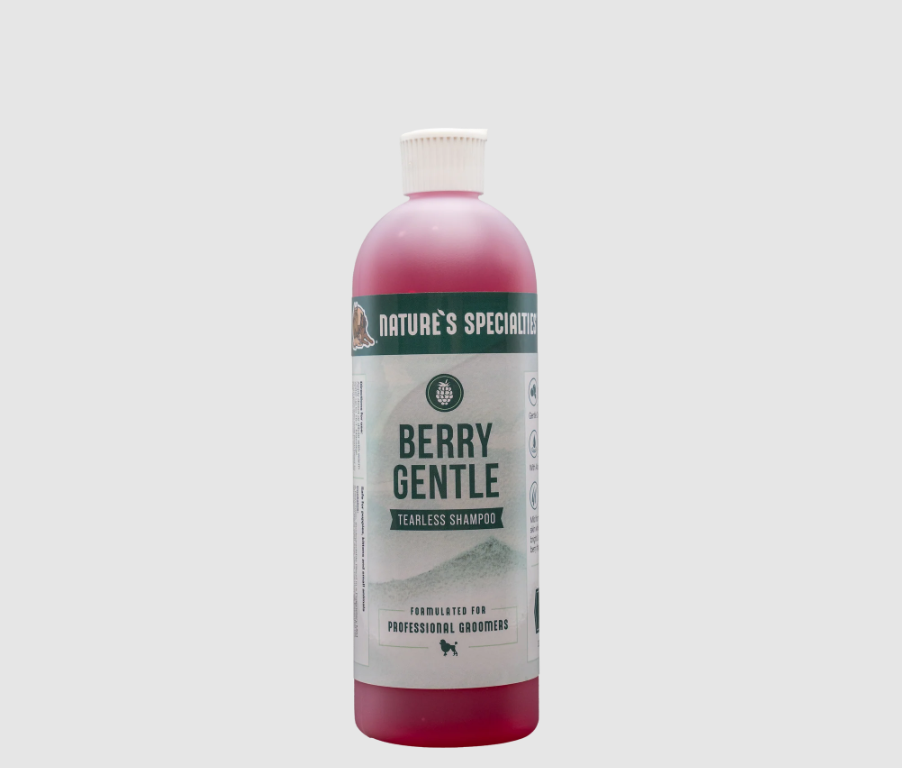 NS BERRY GENTLE SHAMPOO 16:1