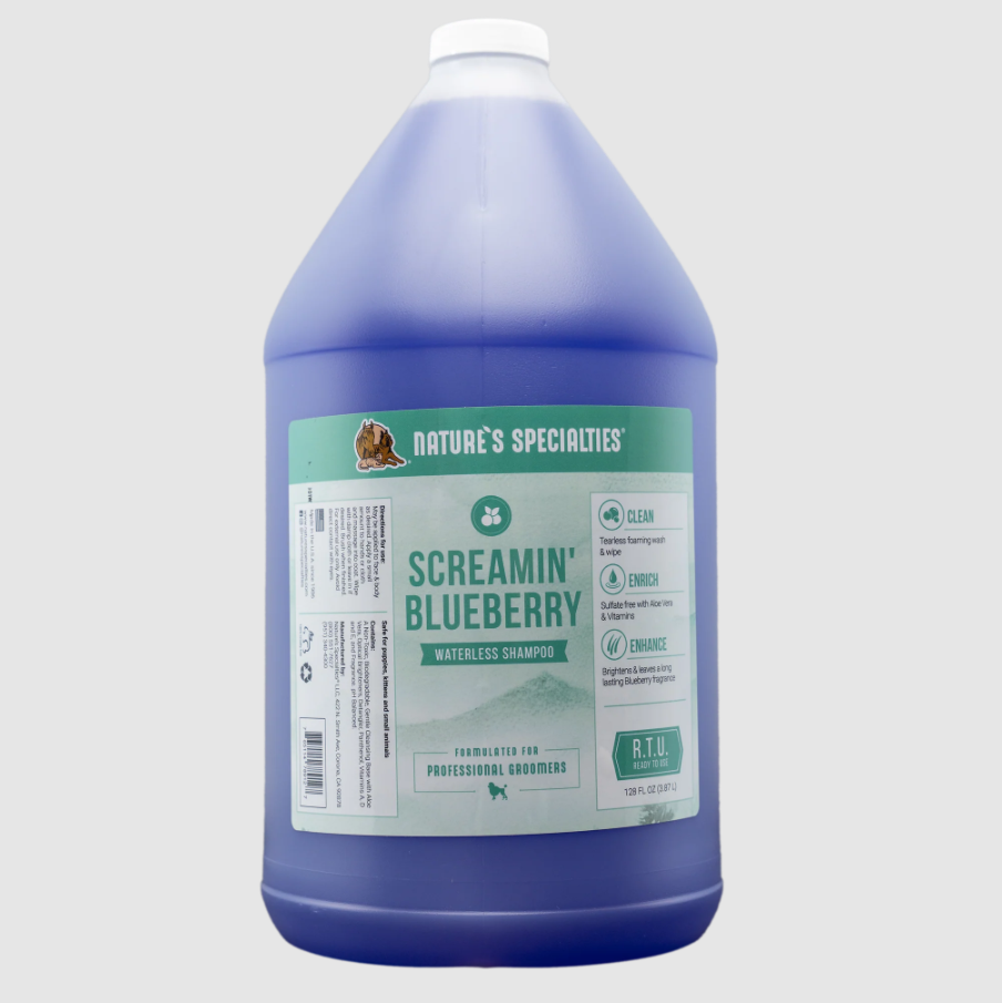 NS SCREAMIN BLUEBERRY WATERLESS FOAM