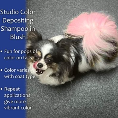 DAVIS STUDIO COLOR DEPOSITING SHAMPOO