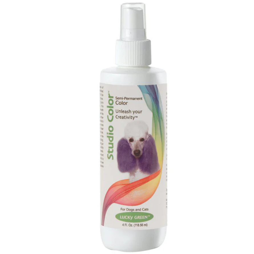 DAVIS STUDIO COLOR SPRAY 4oz