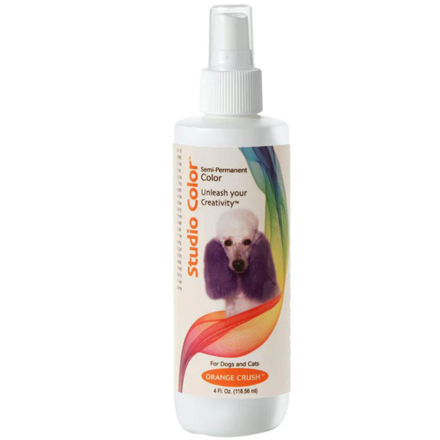 DAVIS STUDIO COLOR SPRAY 4oz