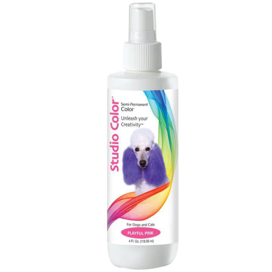 DAVIS STUDIO COLOR SPRAY 4oz