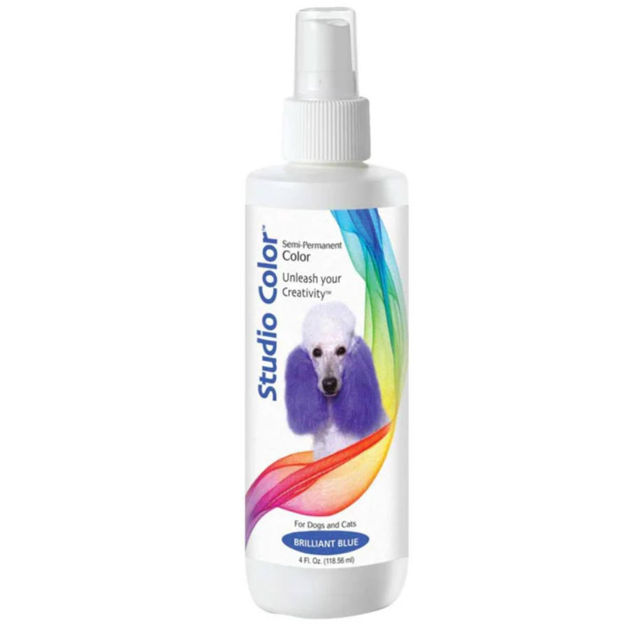 DAVIS STUDIO COLOR SPRAY 4oz